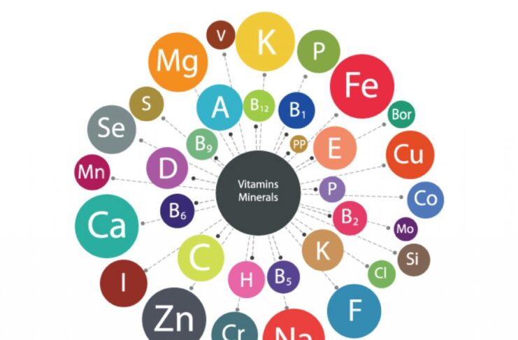 Top 5 Vitamins and Minerals Essential